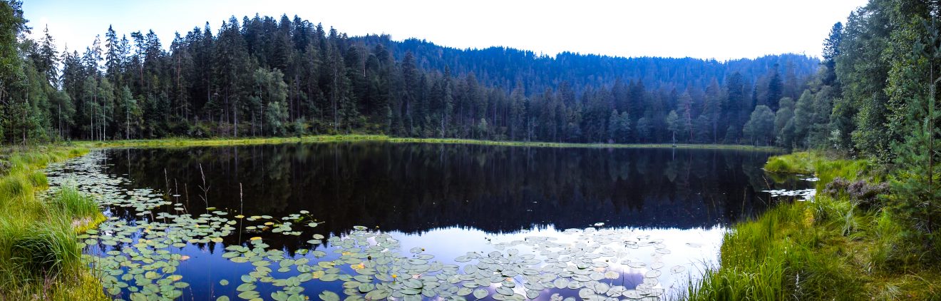 Kaarseen im Schwarzwald: Schurmsee und Blindsee