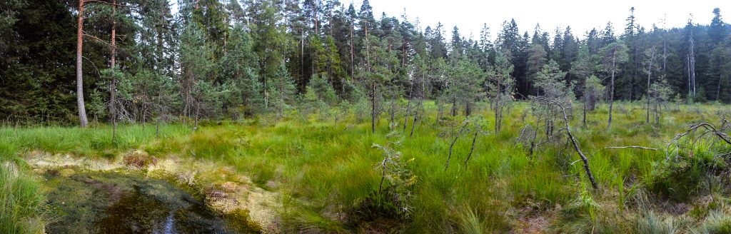 Kaarseen im Schwarzwald: Schurmsee und Blindsee