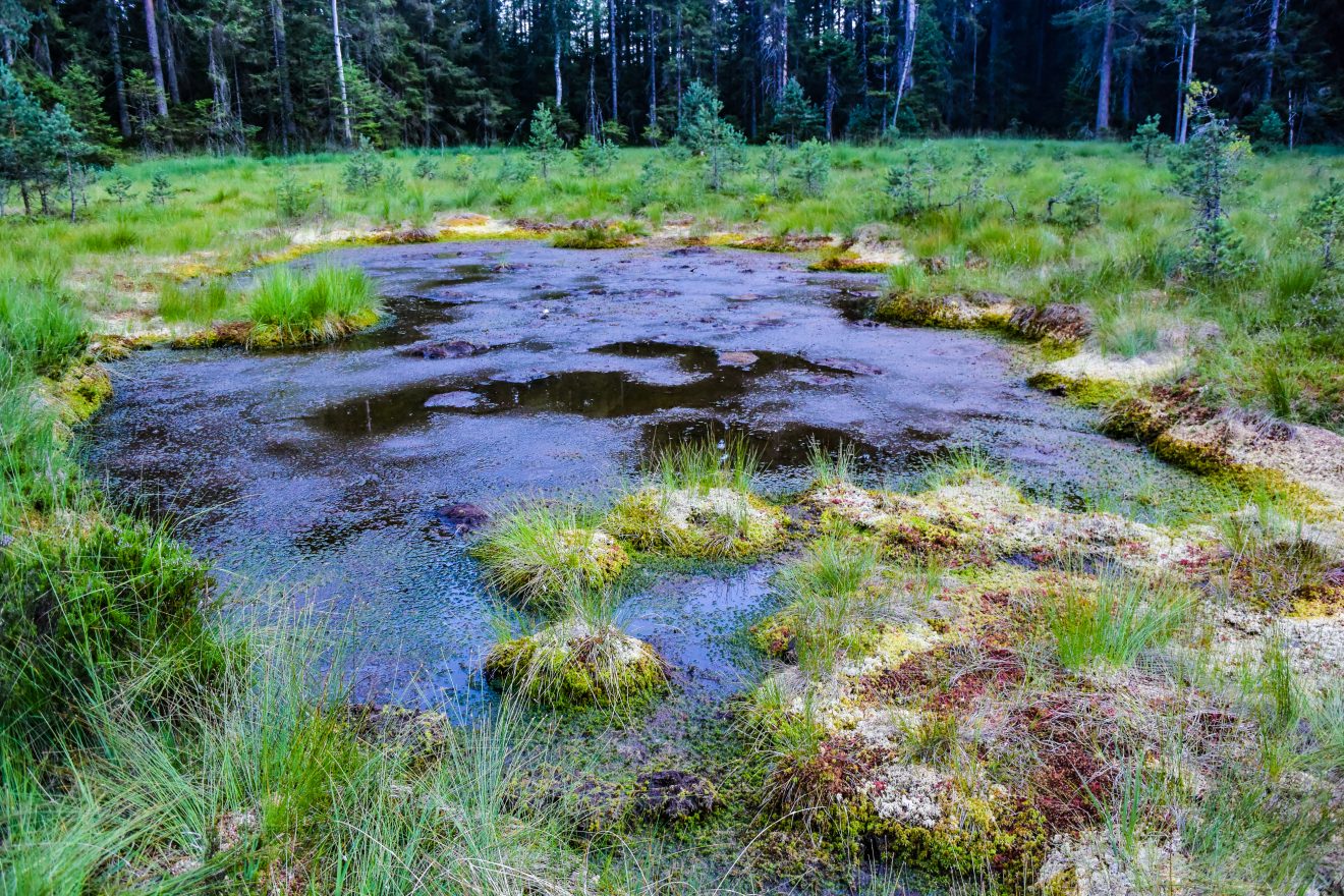 Kaarseen im Schwarzwald: Schurmsee und Blindsee