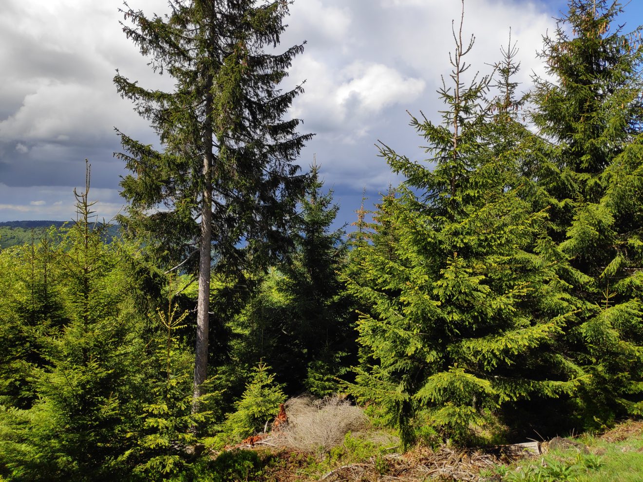 Trekking-Wochenende Mai 2019