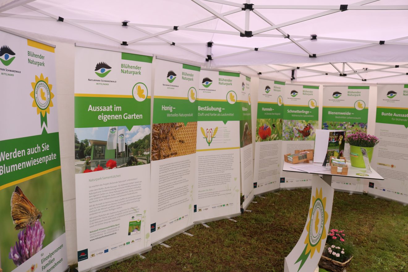 BurdaHome Blumenwiesenpate Weltbienentag