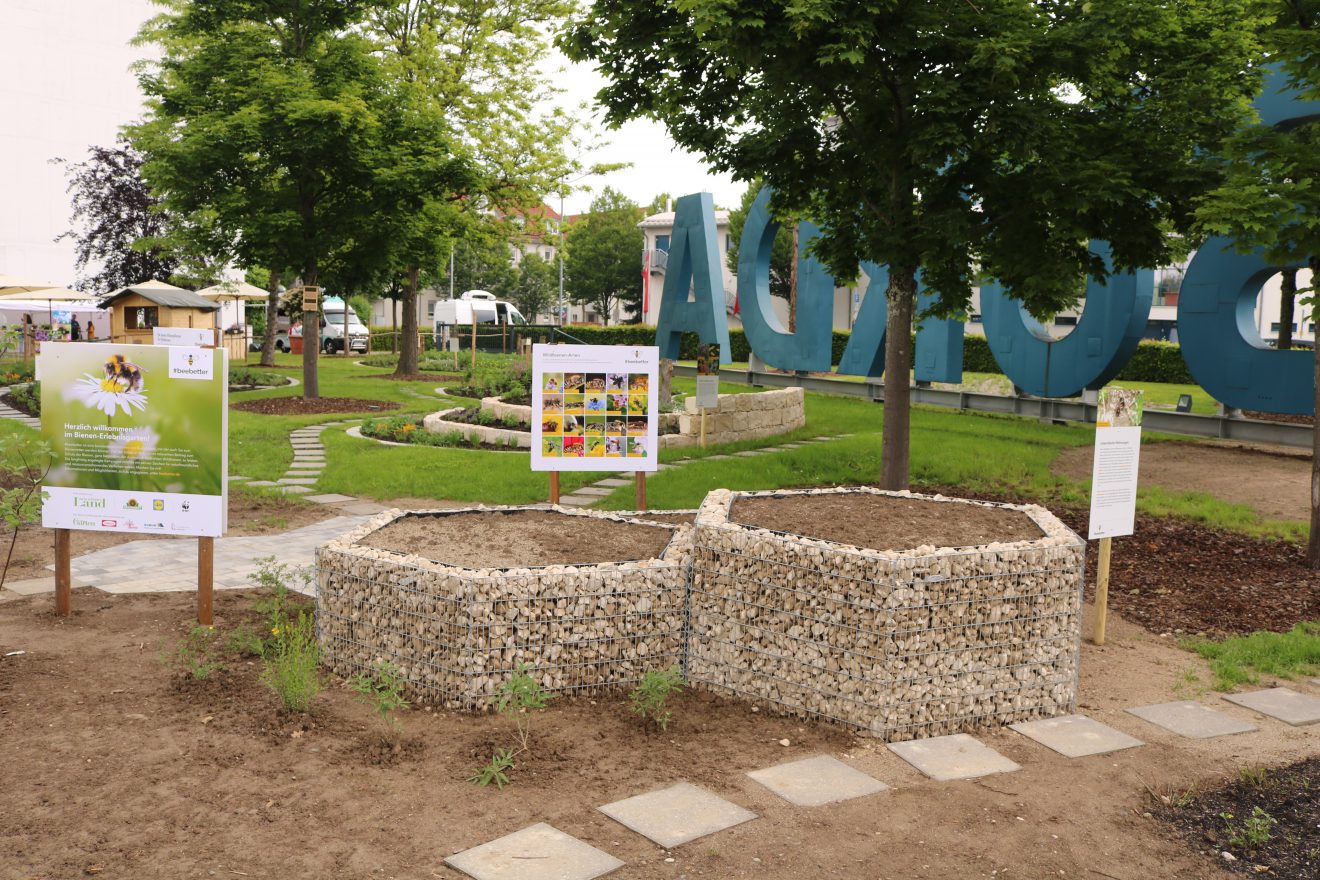 BurdaHome Blumenwiesenpate Weltbienentag