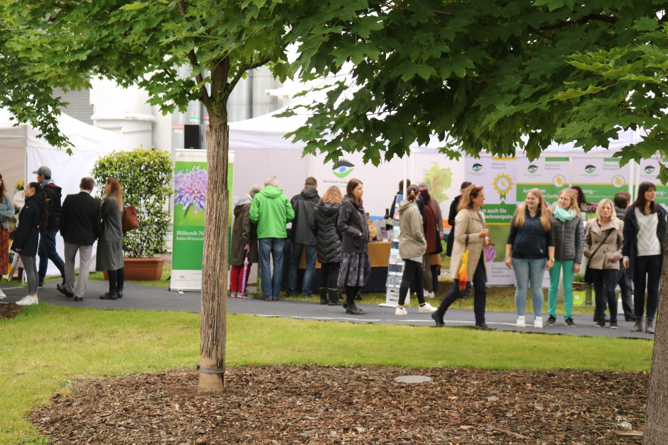 BurdaHome Blumenwiesenpate Weltbienentag