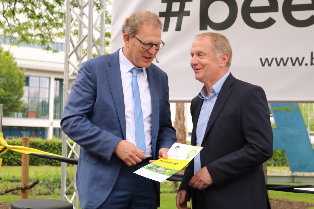 BurdaHome Blumenwiesenpate Weltbienentag