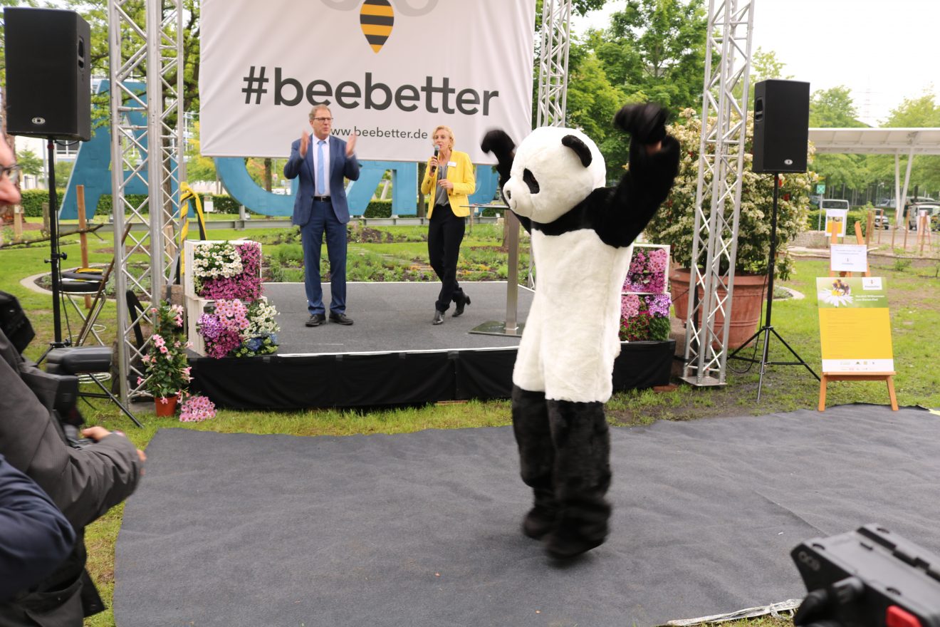 BurdaHome Blumenwiesenpate Weltbienentag