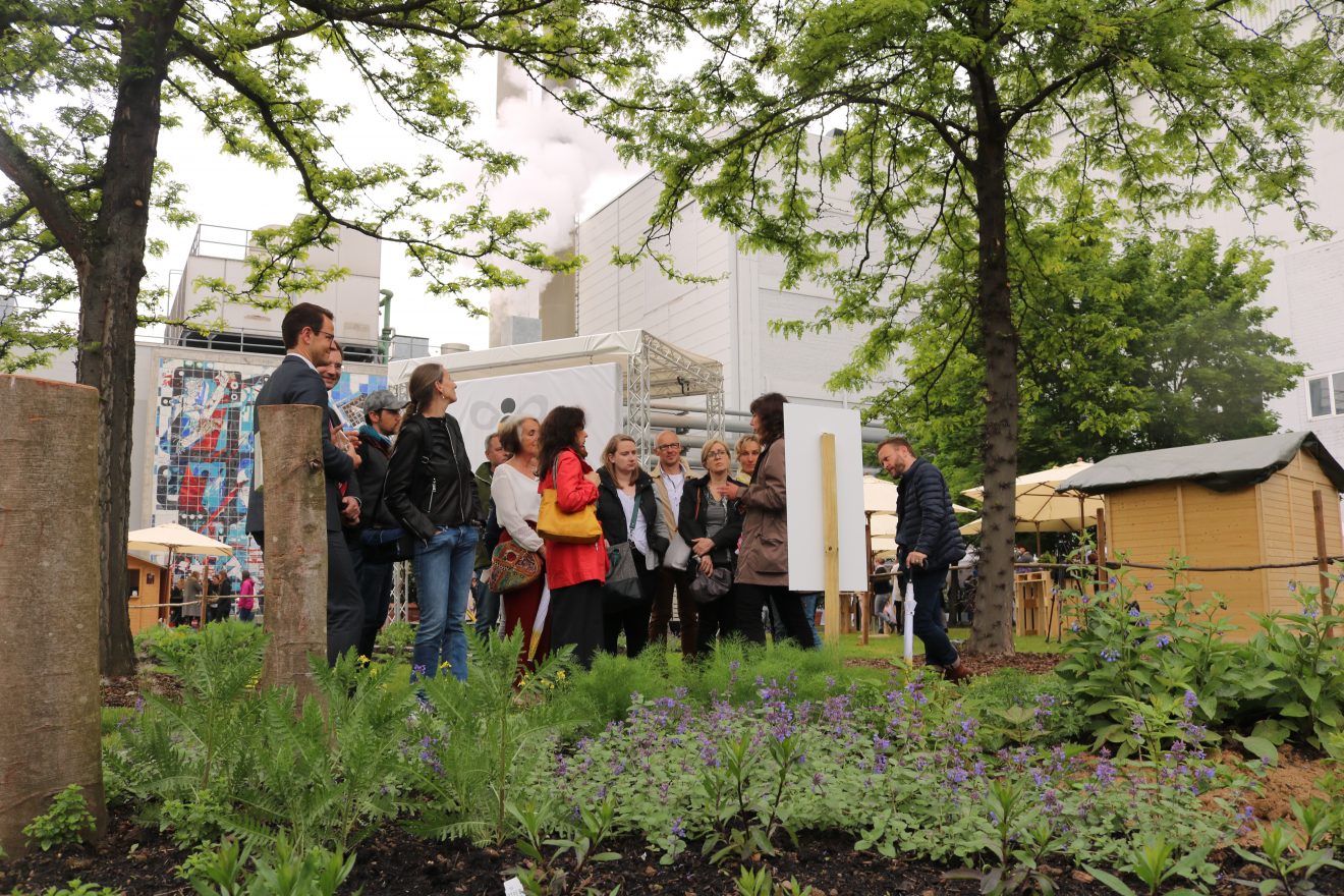 BurdaHome Blumenwiesenpate Weltbienentag