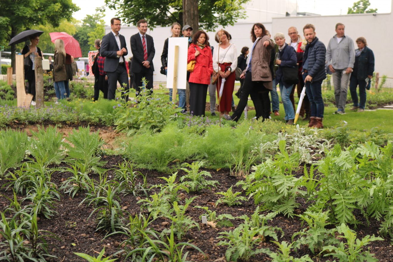 BurdaHome Blumenwiesenpate Weltbienentag