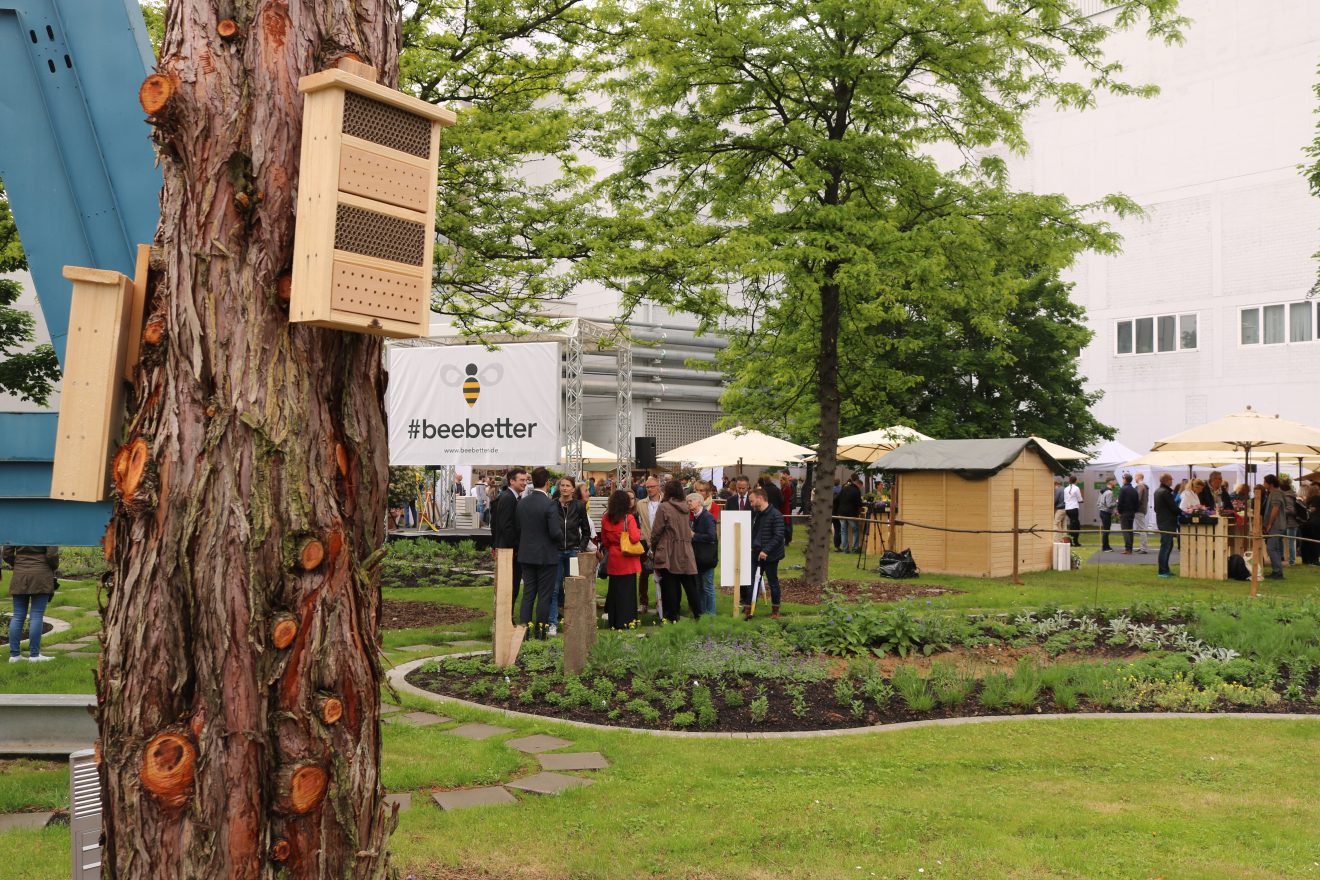 BurdaHome Blumenwiesenpate Weltbienentag