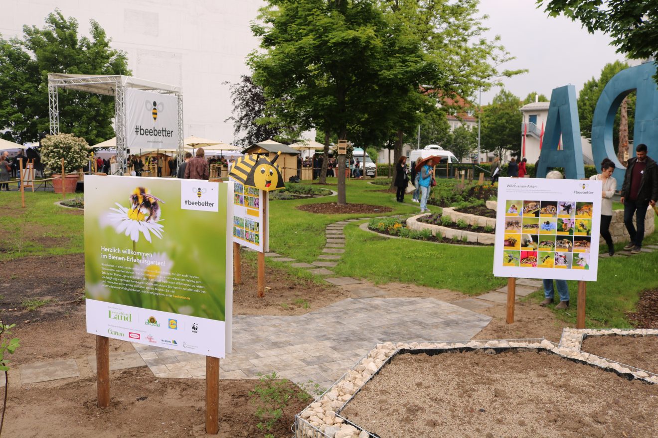 BurdaHome Blumenwiesenpate Weltbienentag