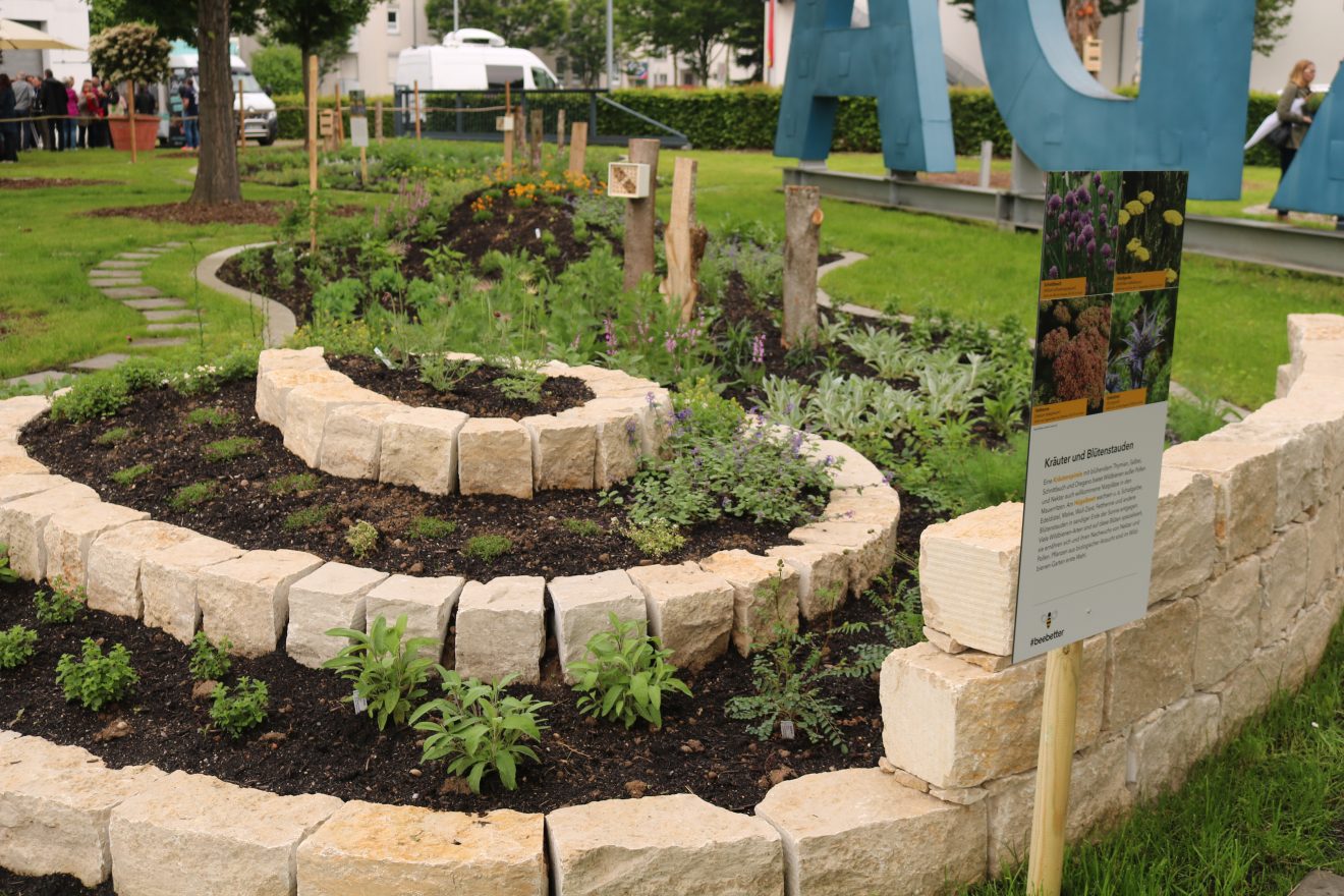 BurdaHome Blumenwiesenpate Weltbienentag