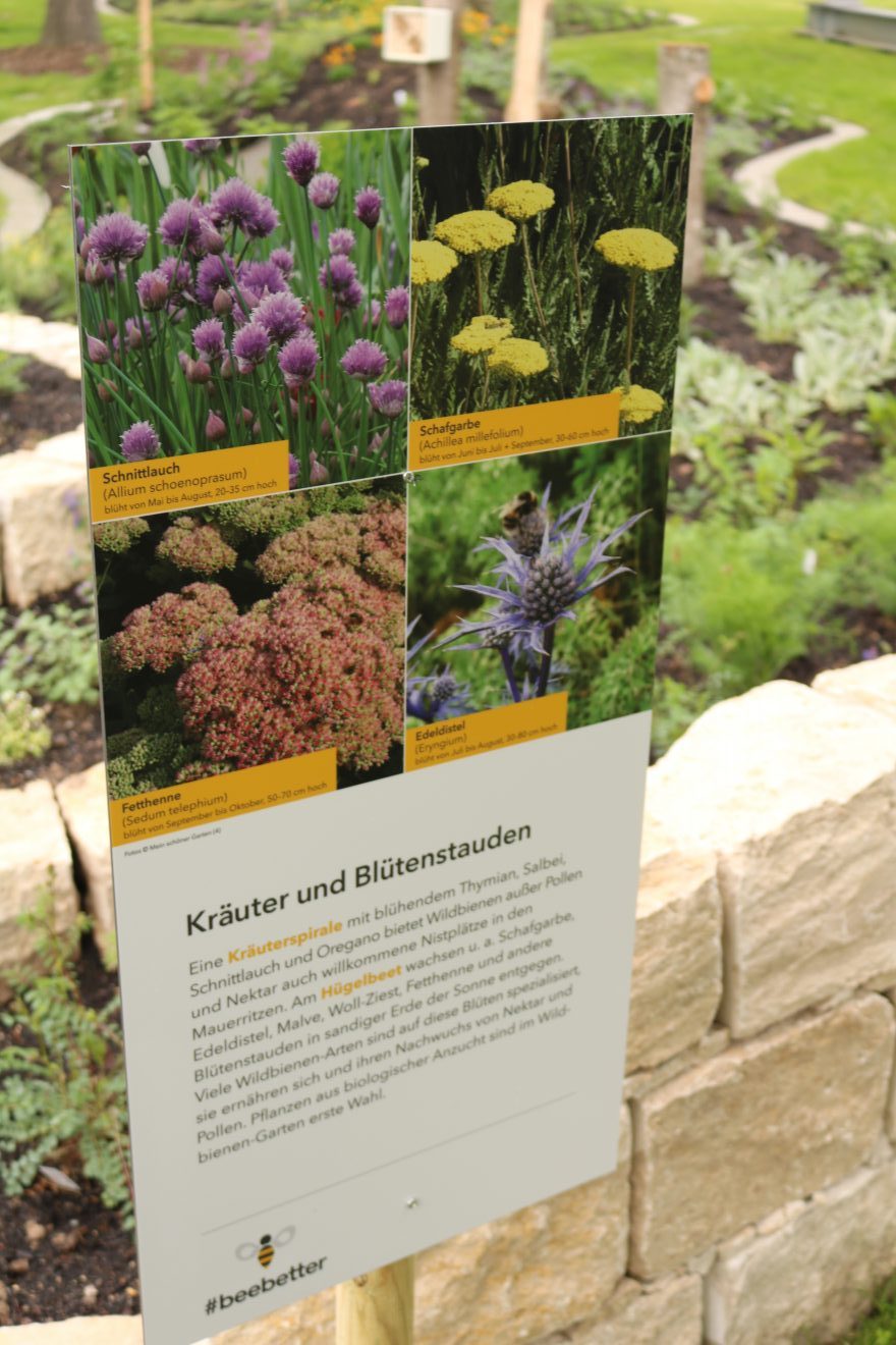 BurdaHome Blumenwiesenpate Weltbienentag