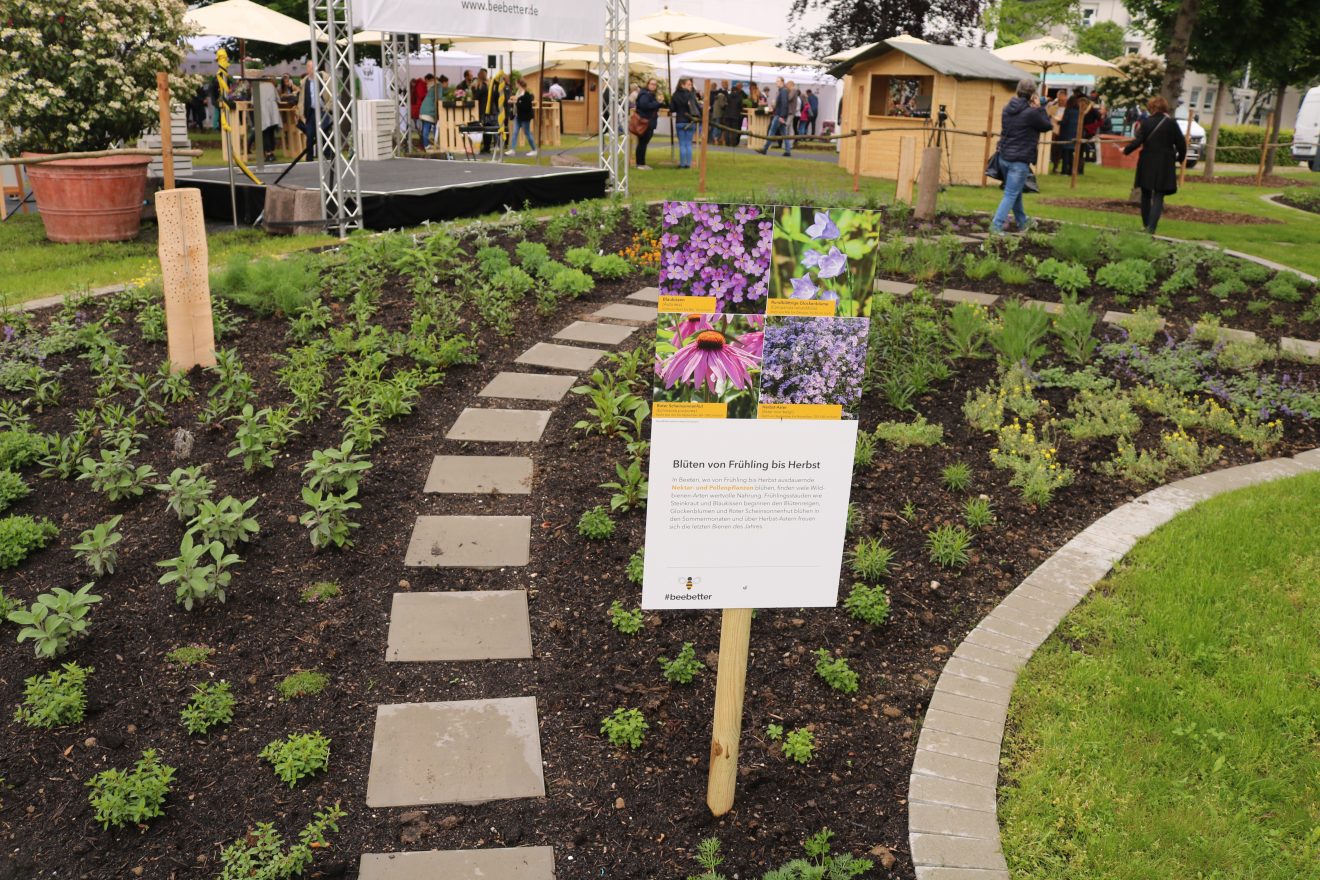 BurdaHome Blumenwiesenpate Weltbienentag