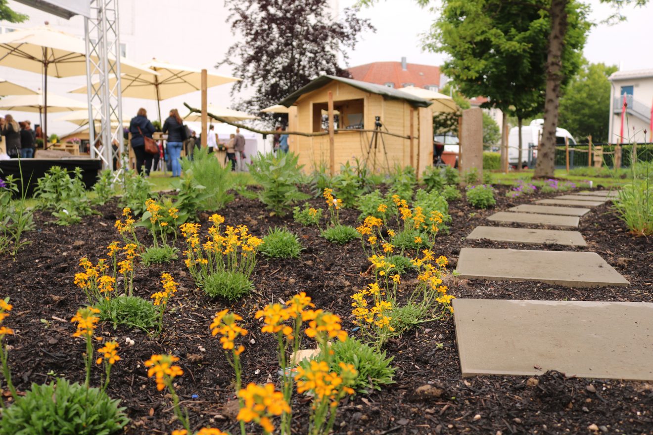 BurdaHome Blumenwiesenpate Weltbienentag
