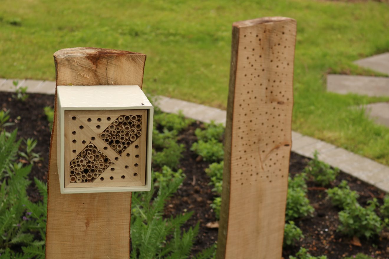 BurdaHome Blumenwiesenpate Weltbienentag