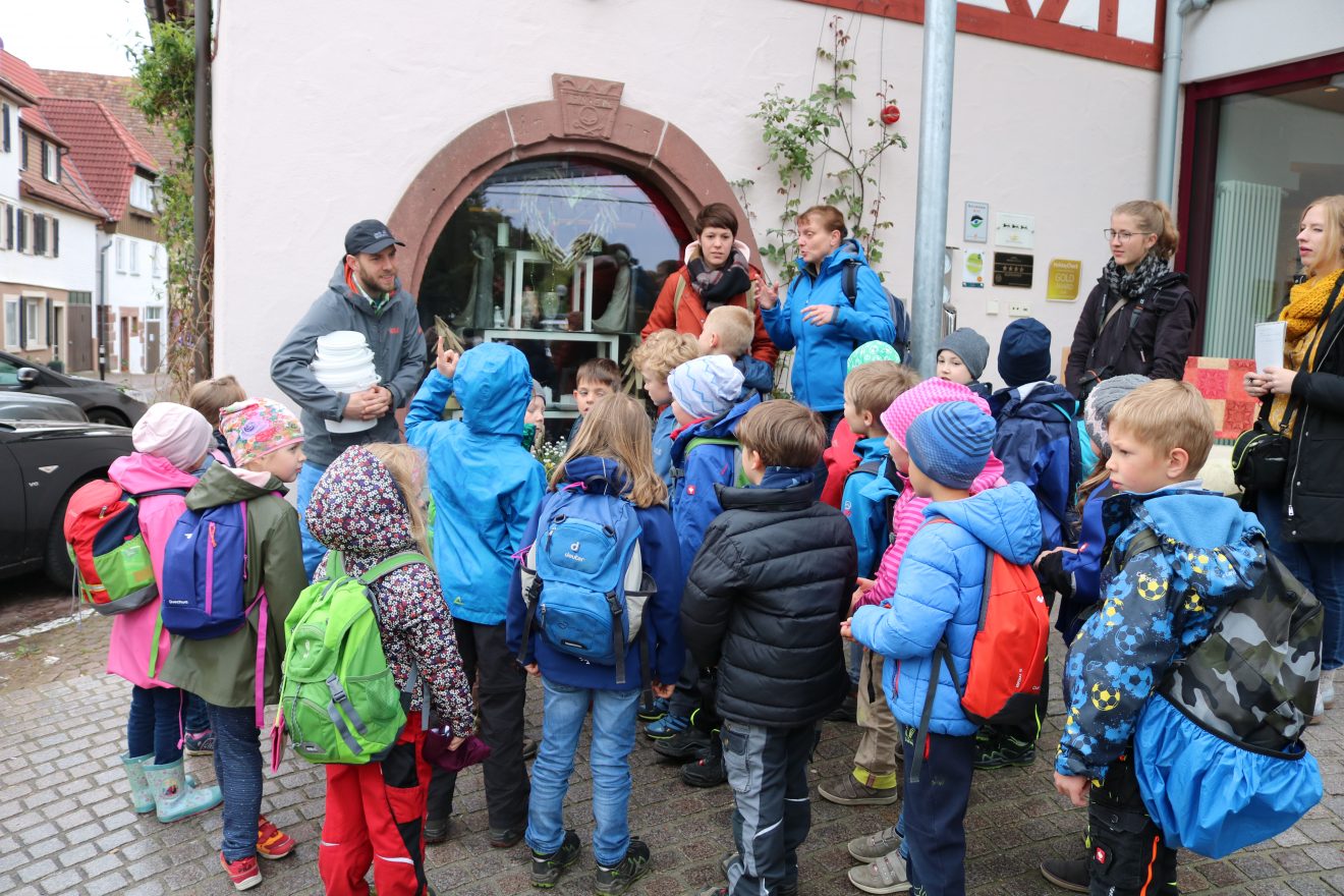 Kräuterkunde für die Naturpark-Schule Zavelstein