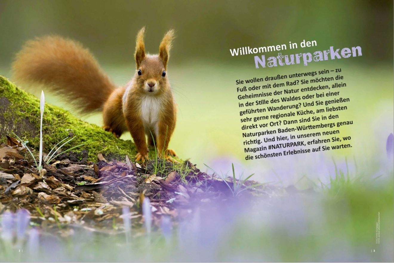 Neues Magazin: #NATURPARK