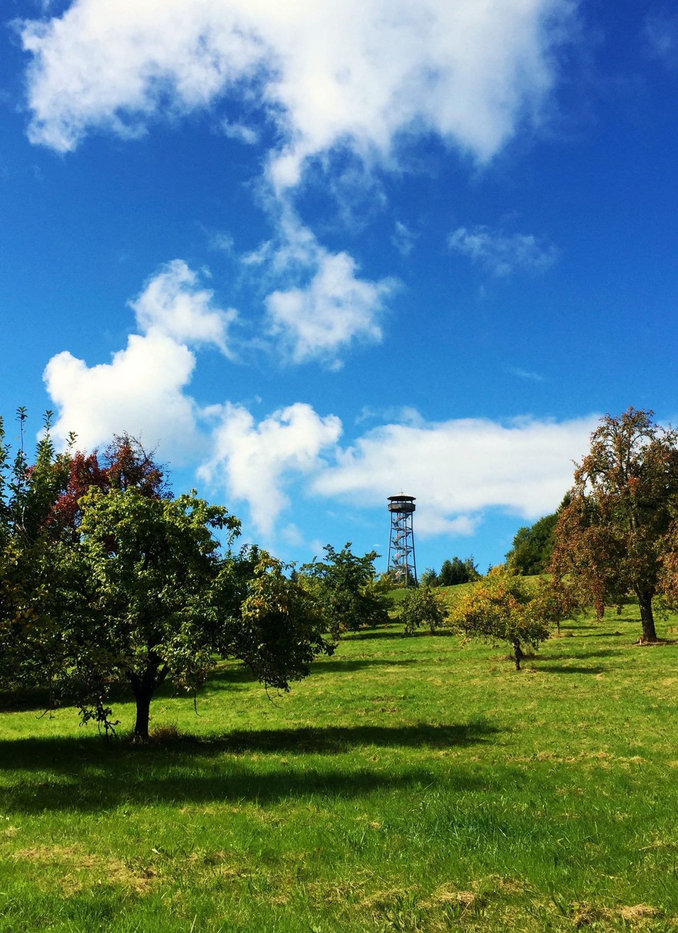 Naturpark-AugenBlick Loßburg