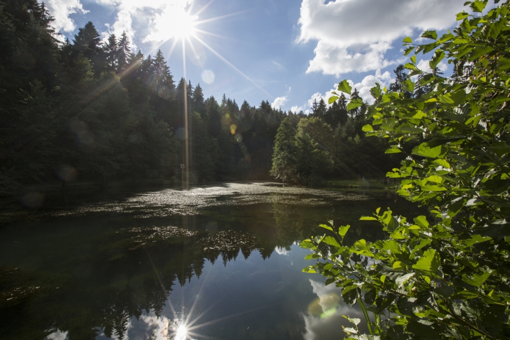 Naturpark-AugenBlick Loßburg