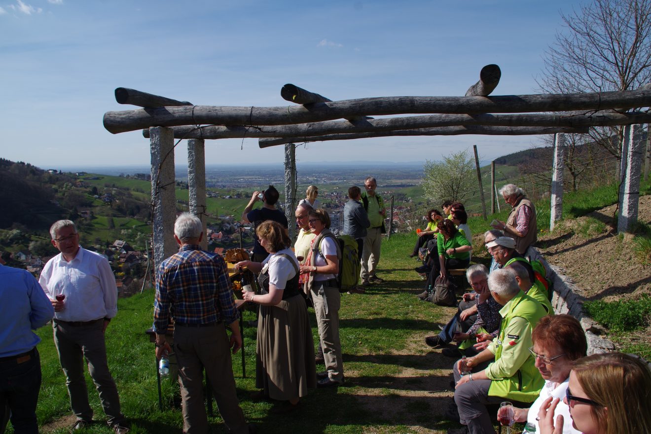 Weinwanderung auf dem Engelsberg
