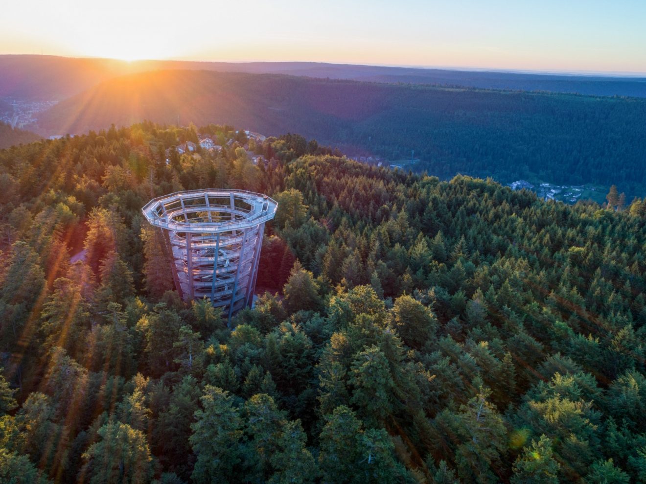 Sommerevents auf dem Baumwipfelpfad