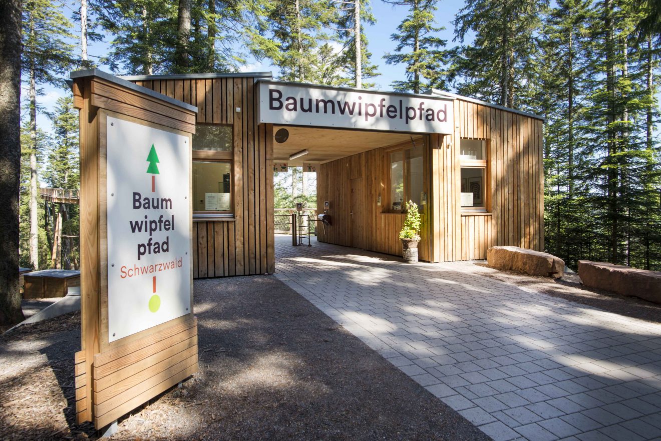 Sommerevents auf dem Baumwipfelpfad