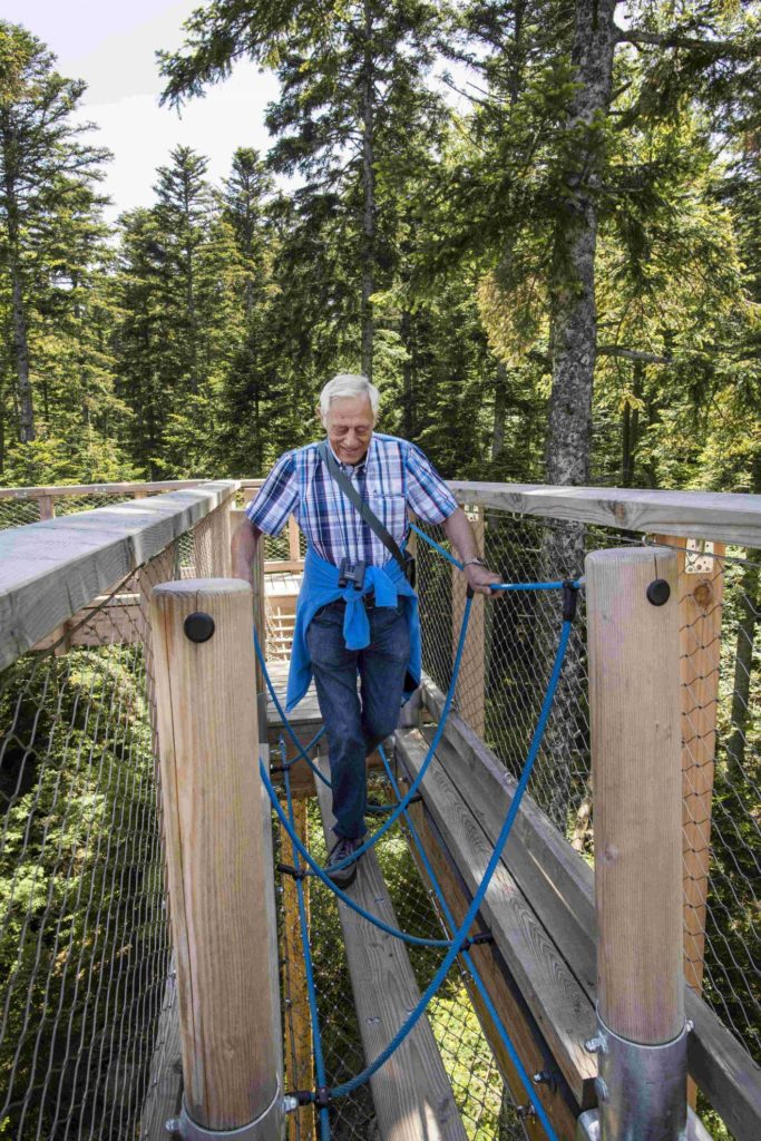 Sommerevents auf dem Baumwipfelpfad