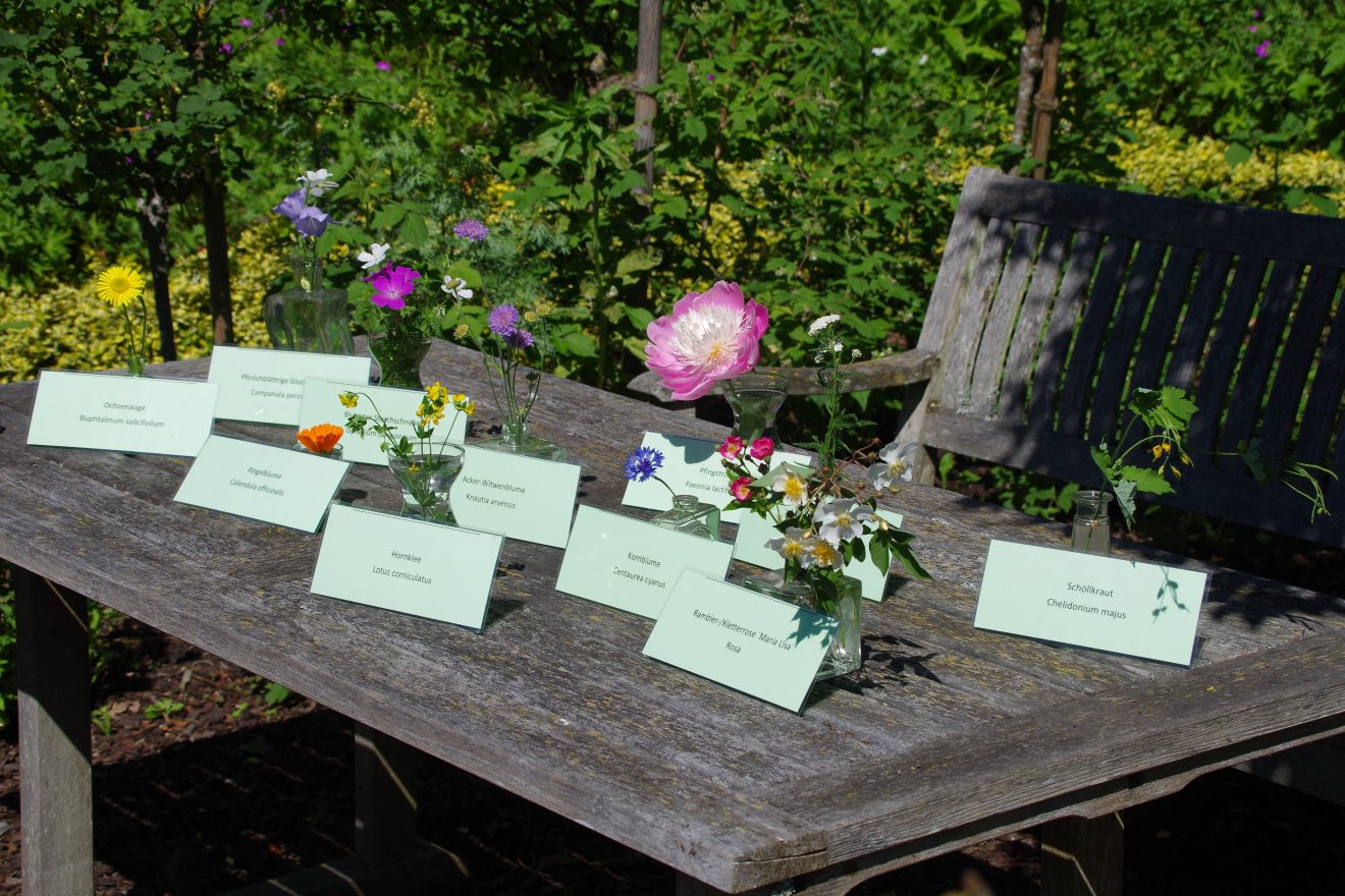 Fünf Fragen an Schwarzwald-Guide Thomas Bühler