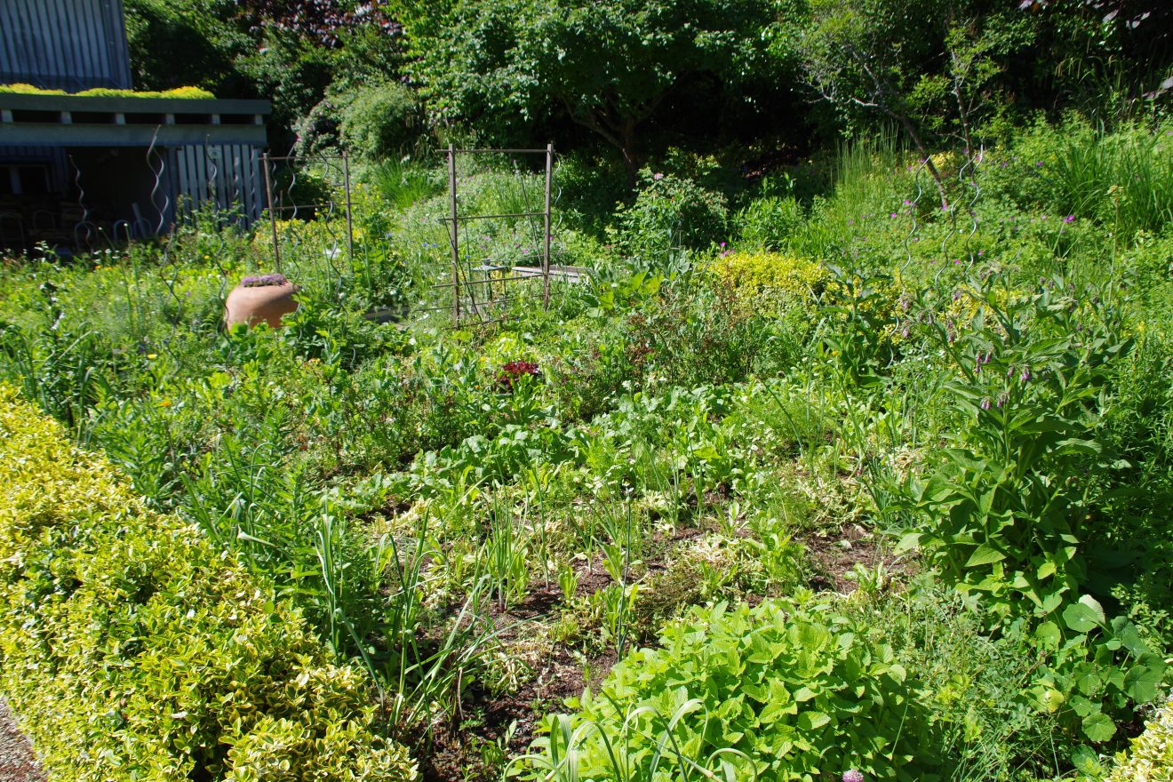 Fünf Fragen an Schwarzwald-Guide Thomas Bühler
