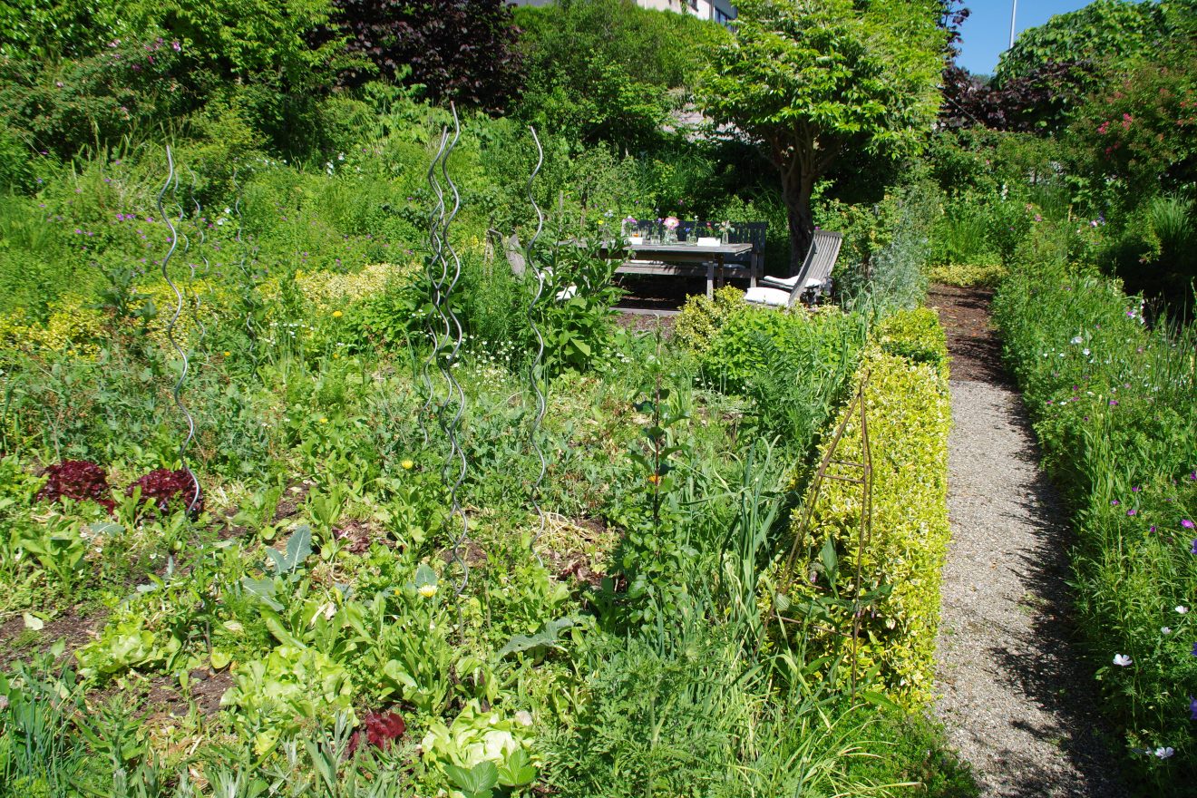 Fünf Fragen an Schwarzwald-Guide Thomas Bühler