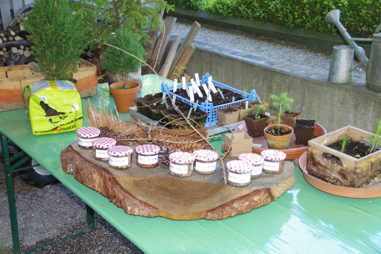 Fünf Fragen an Schwarzwald-Guide Thomas Bühler