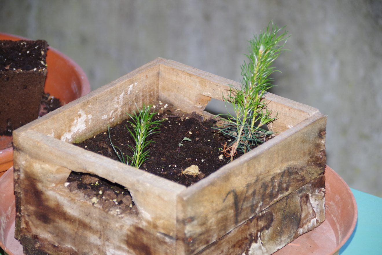 Fünf Fragen an Schwarzwald-Guide Thomas Bühler