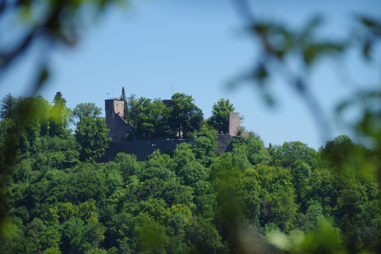 Fünf Fragen an Schwarzwald-Guide Thomas Bühler