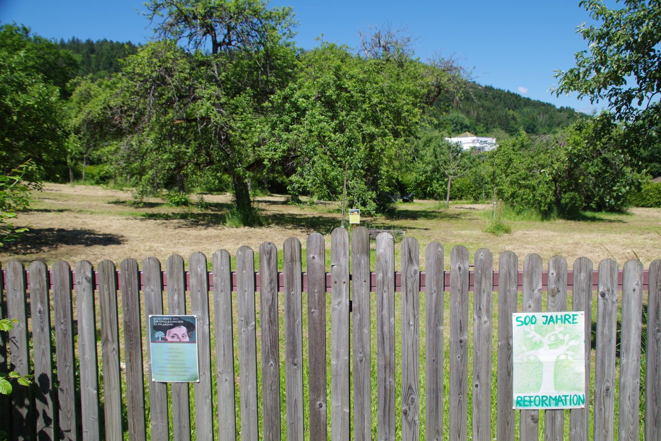 Fünf Fragen an Schwarzwald-Guide Thomas Bühler