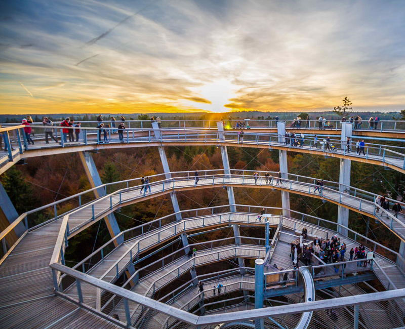 Sommerevents auf dem Baumwipfelpfad