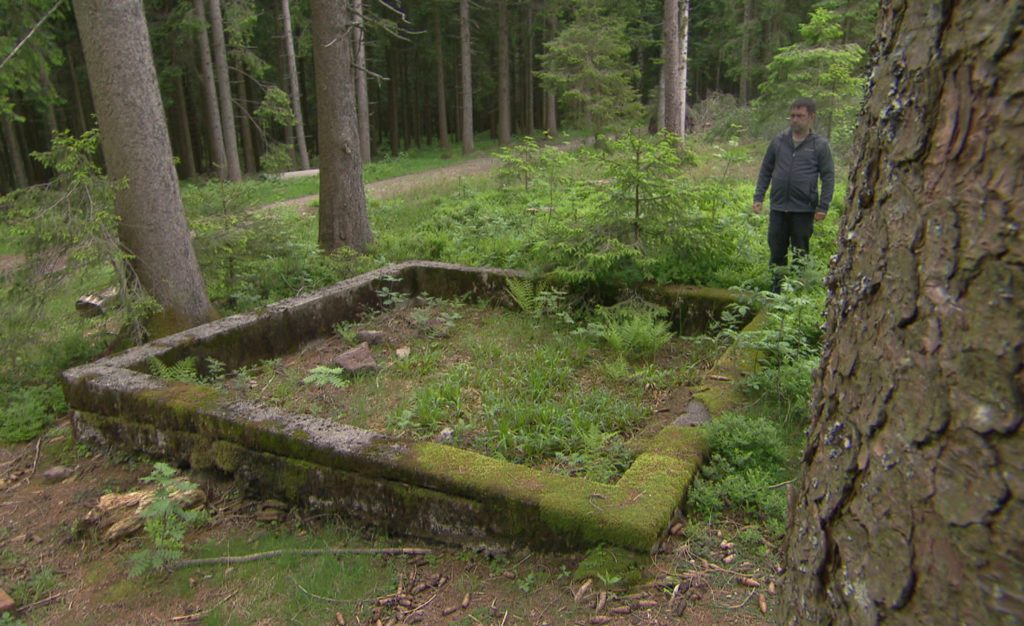SWR-Doku über Schwarzwaldgipfel: "Unsere Tausender im Südwesten"
