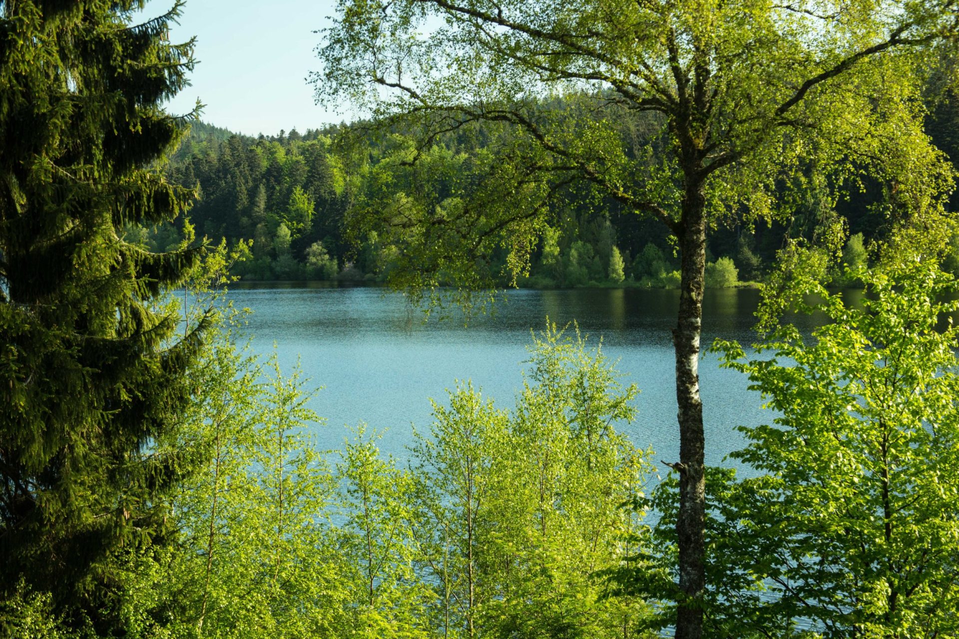 AOK empfiehlt: Schwimmen ist gesund