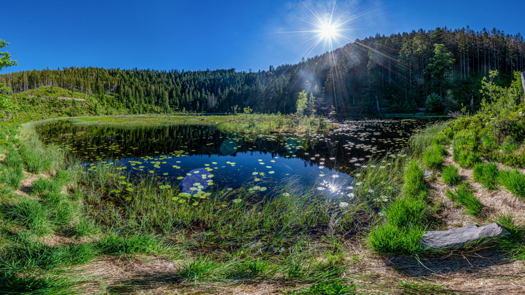 Karseen im Schwarzwald: Der Huzenbacher See
