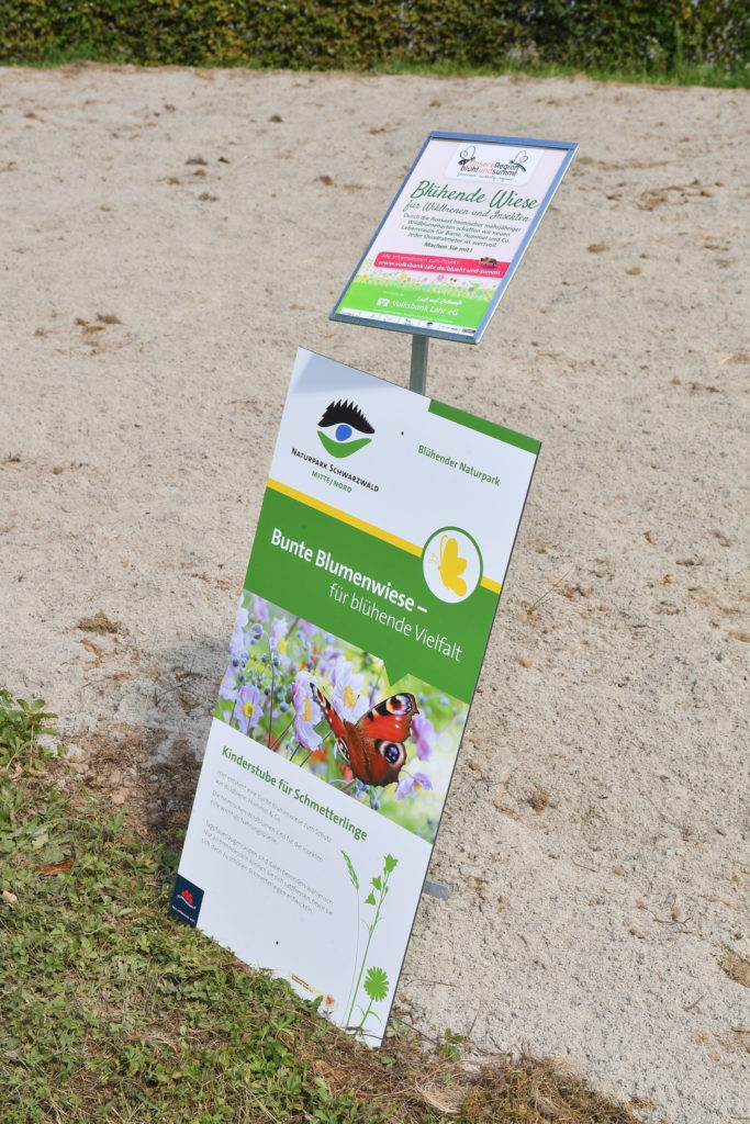 Herbstaussaat Blühender Naturpark bei der Volksbank Lahr