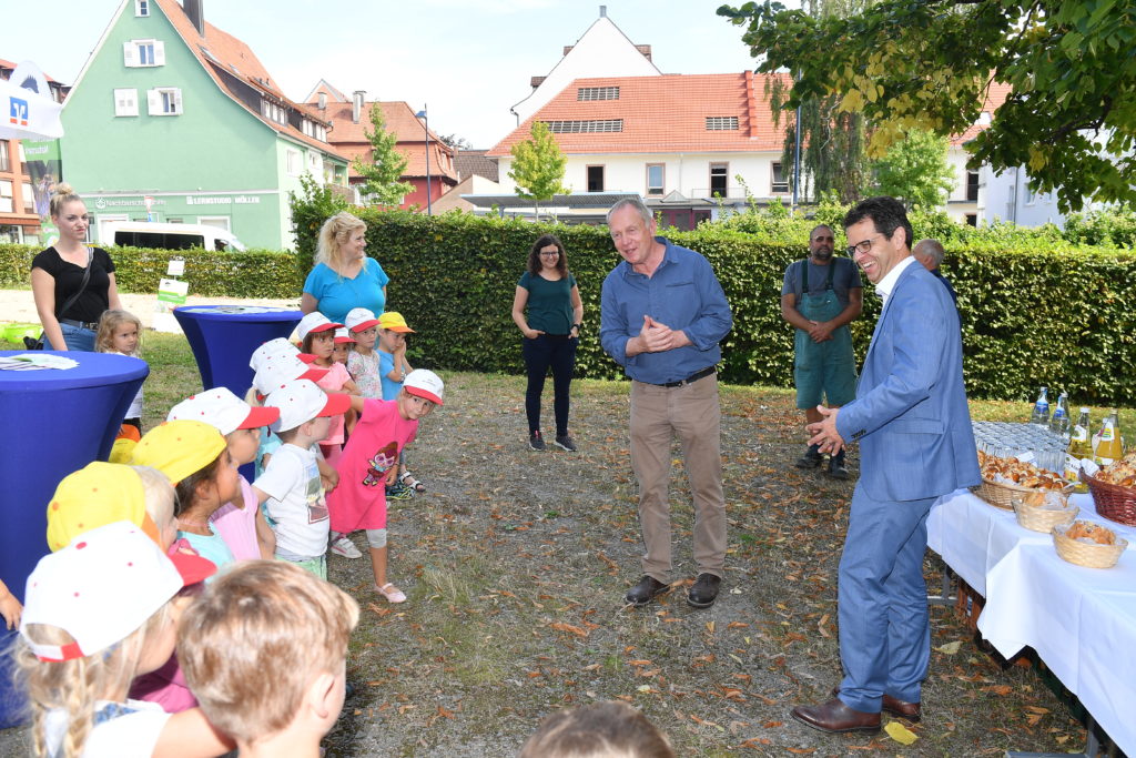 Herbstaussaat Blühender Naturpark bei der Volksbank Lahr