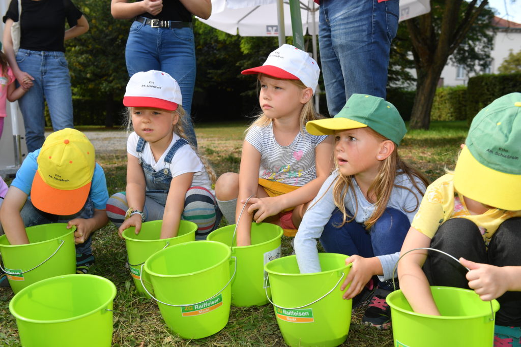 Herbstaussaat Blühender Naturpark bei der Volksbank Lahr