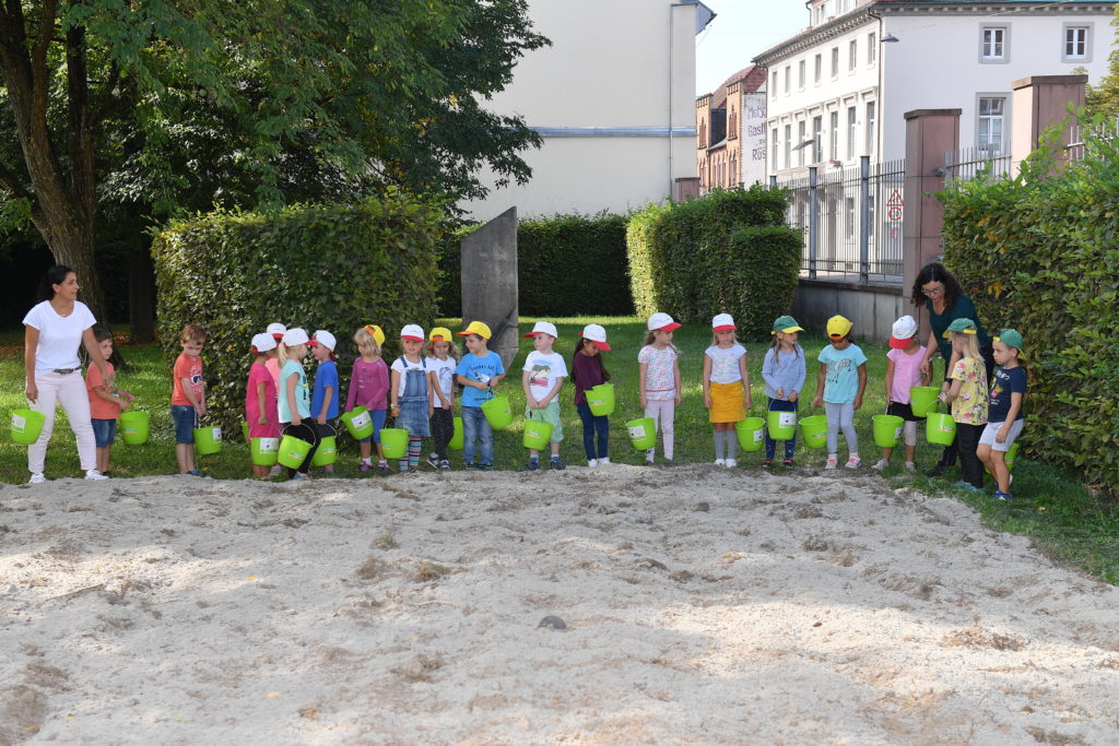 Herbstaussaat Blühender Naturpark bei der Volksbank Lahr
