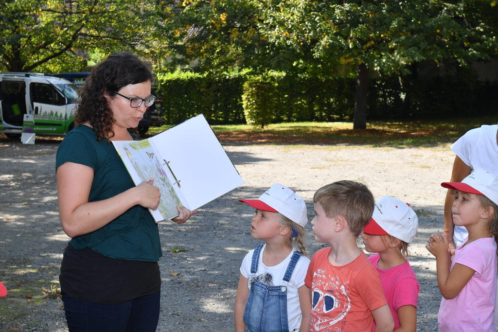 Herbstaussaat Blühender Naturpark bei der Volksbank Lahr