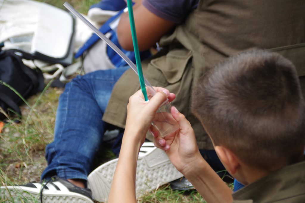 Stadtwerke Rastatt unterstützt Aktionen mit Naturpark-Entdecker-Westen