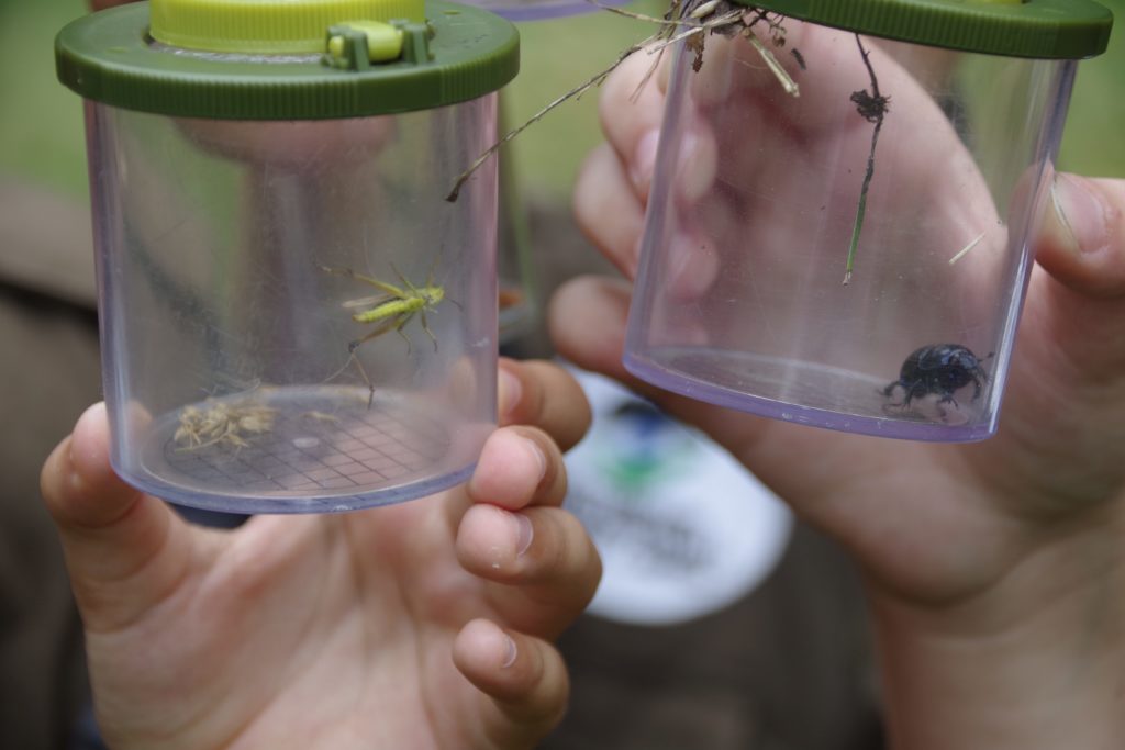 Stadtwerke Rastatt unterstützt Aktionen mit Naturpark-Entdecker-Westen