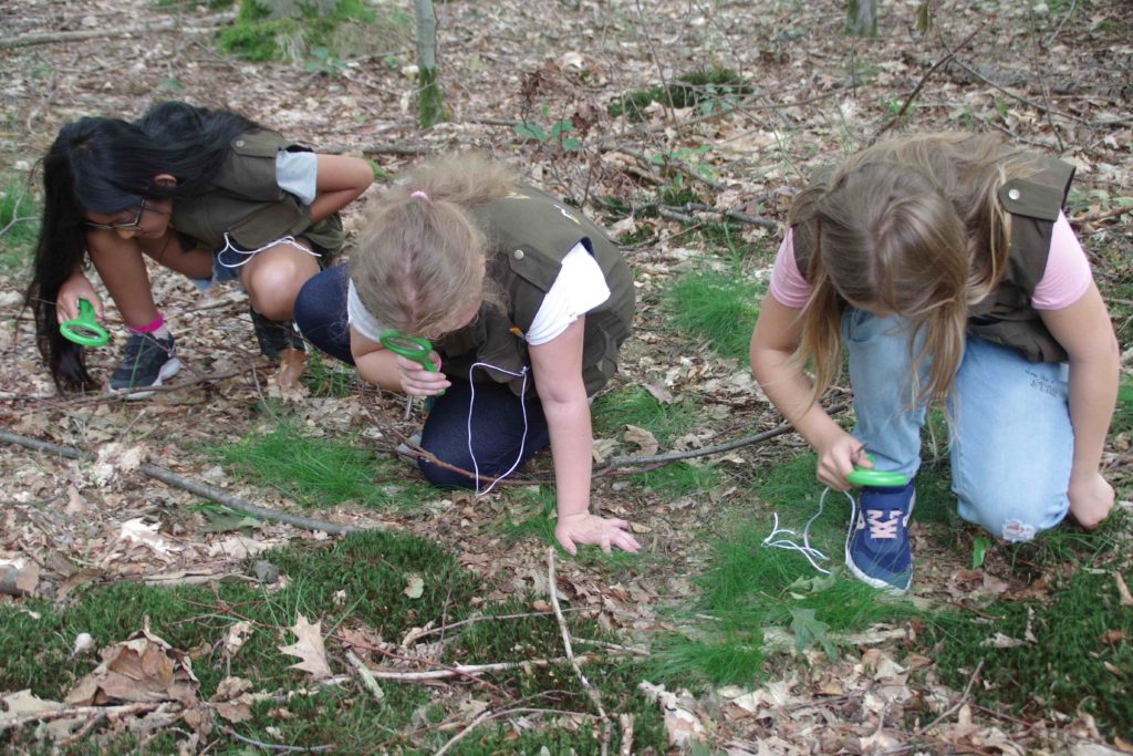 Stadtwerke Rastatt unterstützt Aktionen mit Naturpark-Entdecker-Westen