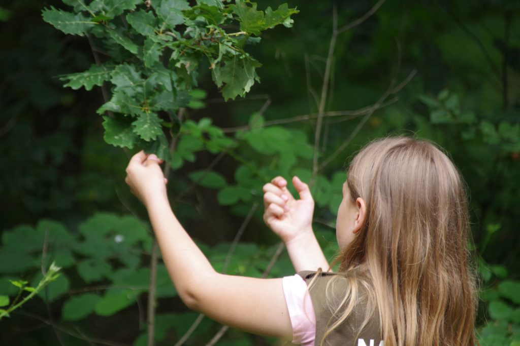 Stadtwerke Rastatt unterstützt Aktionen mit Naturpark-Entdecker-Westen
