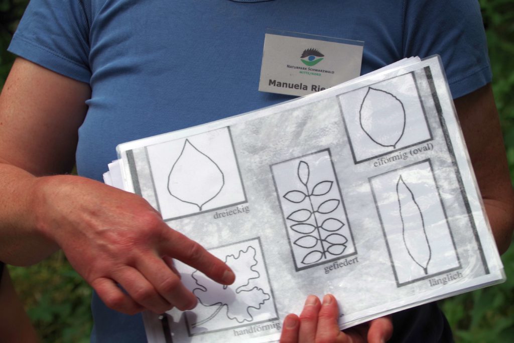 Stadtwerke Rastatt unterstützt Aktionen mit Naturpark-Entdecker-Westen