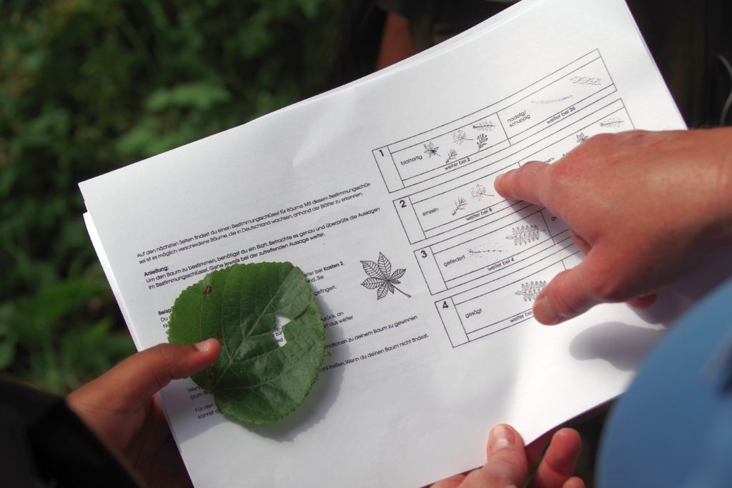 Stadtwerke Rastatt unterstützt Aktionen mit Naturpark-Entdecker-Westen