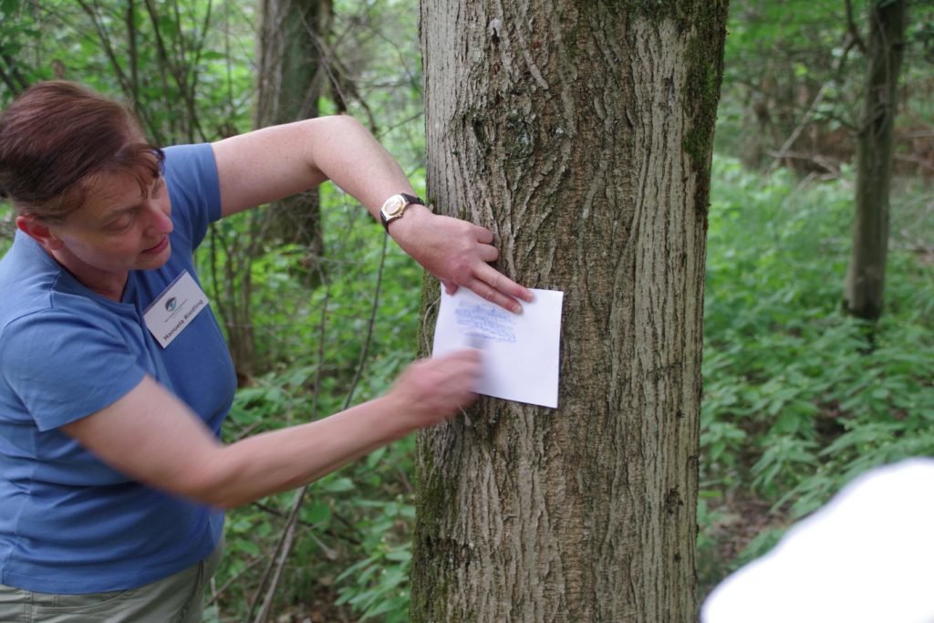 Stadtwerke Rastatt unterstützt Aktionen mit Naturpark-Entdecker-Westen