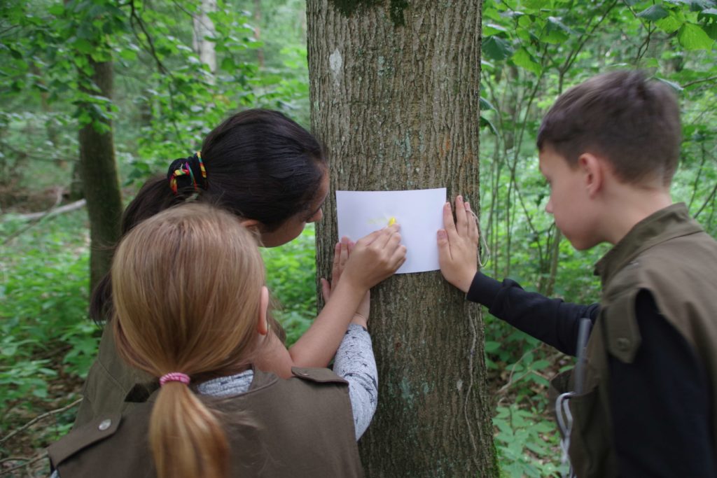 Stadtwerke Rastatt unterstützt Aktionen mit Naturpark-Entdecker-Westen